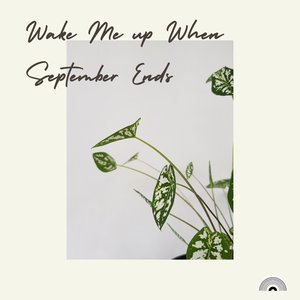 Wake Me up When September Ends (Original mix)