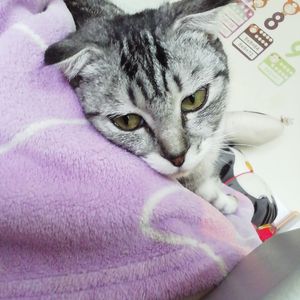 真心话就是大冒险