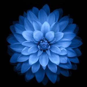 Muhabbat u nima 如何爱