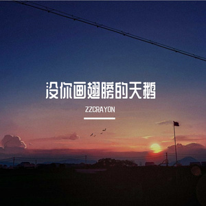 没你画翅膀的天鹅