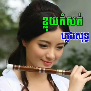 លួចស្នេហ៍ វីយូឡុង
