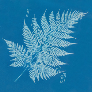 Последняя орбита