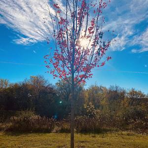 Things Are Going To Get Better