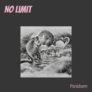 No Limit