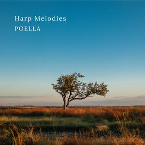 Theme From The New World Symphony Arr. for Harp