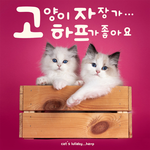 잠자다 깨어난 인형