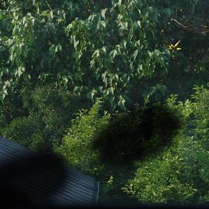 süße (feat. Sonnenbrillenmann)