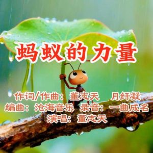 董志天-蚂蚁的力量