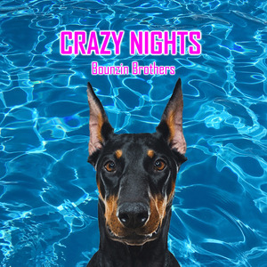 Party by night