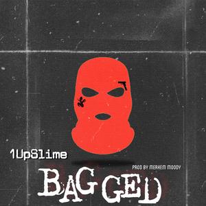 Bagged