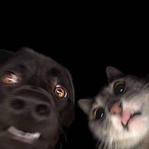 nvm (feat. Undecided)