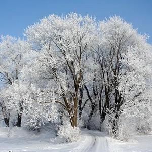 1234_20220427_212913