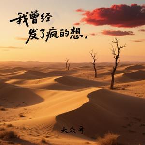我曾经发了疯的想