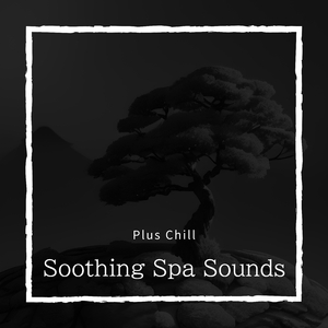 Renaissance of the Soul