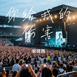 你给我的伤害