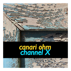 Channel X