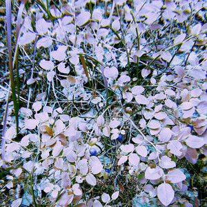 Холодный город