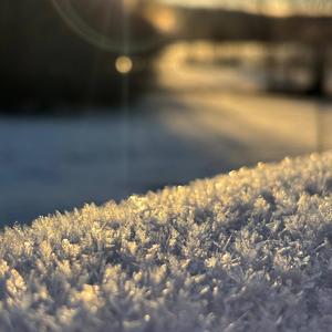 Systerskap genom tid och rum