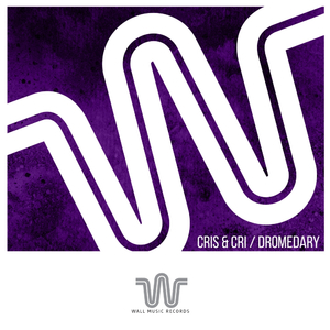 Dromedary (Extended Mix)