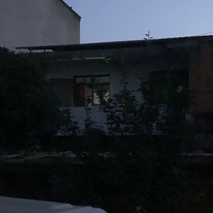 稻穗与星
