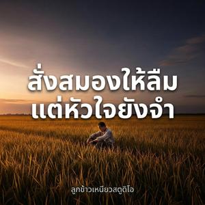 สั่งสมองให้ลืมแต่หัวใจยังจำ