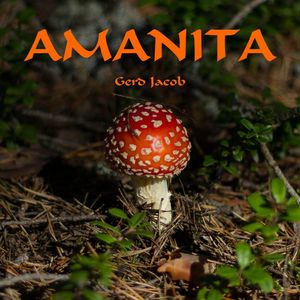 Amanita