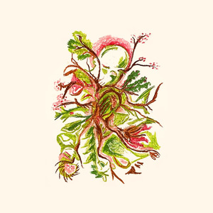 לחלום על אהבה