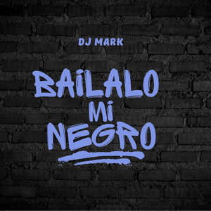 Bailalo mi Negro (Remix)