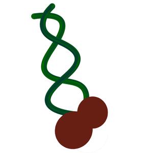 Bopped de boop (Radio Edit)