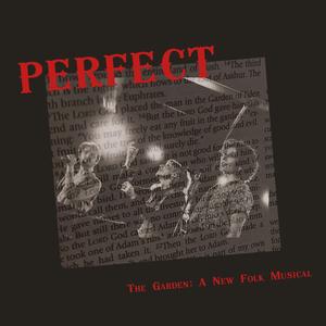 Perfect (feat. Cassidy Stoner, Savidu Geevaratne & jakey jakes)