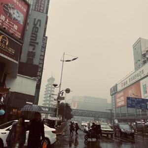 大海与荷花与你