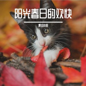 阳光春日的欢快