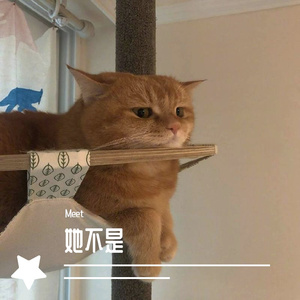 她不是（片段版）