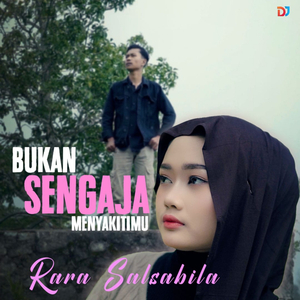 Bukan Sengaja Menyakitimu