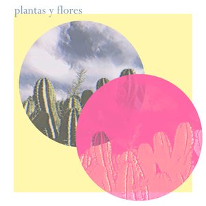 Plantas y Flores