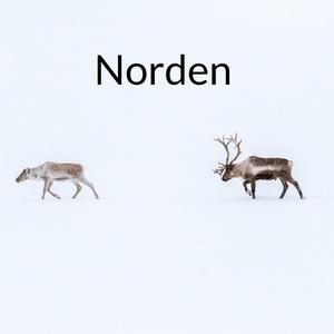 Norden