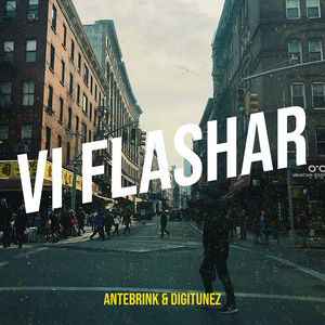 Vi flashar