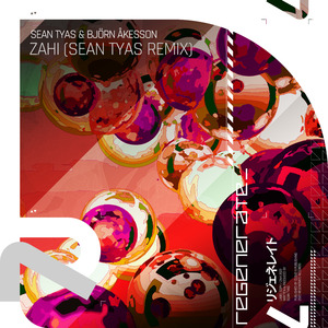 Zahi (Sean Tyas Extended Remix)