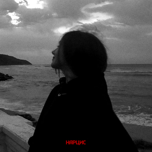 Нарцис