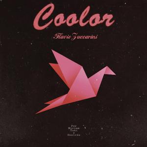 Coolor