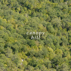 Canopy Hill