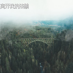 离开我的依赖（片段）