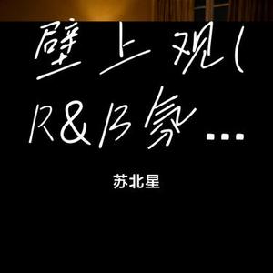 壁上观 (R&B氛围版)(Cover 邓寓君 (等什么君))