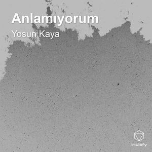 Anlamıyorum