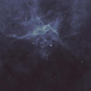 枫叶落了可以许愿吗