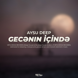 Gecənin içində