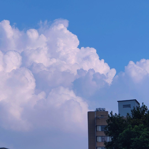 第一缕晨曦（翻自 赵芷彤）