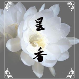 昙香【古筝/纯筝】