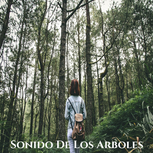 Sonido De Los Arboles