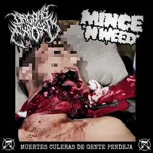 Necrophilic Fantasy (MINCE'N'WEED)